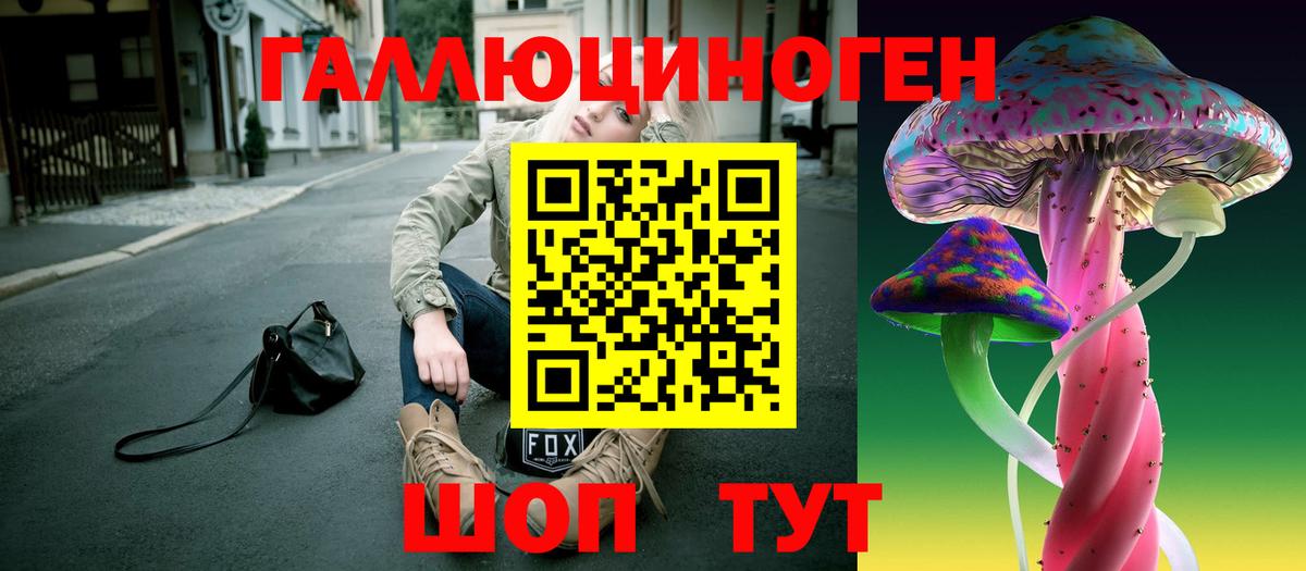 Псилоцибиновые грибы Psilocybine cubensis Кандалакша